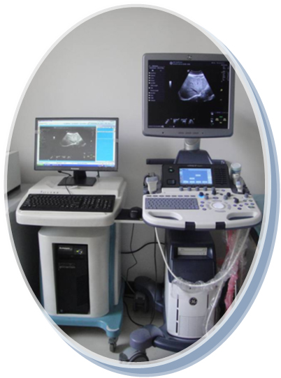 尊龙凯时·(中国集团)官方网站